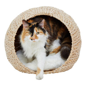 Water Hyacinth Cat Cave